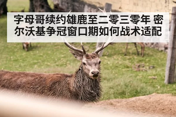 字母哥续约雄鹿至二零三零年 密尔沃基争冠窗口期如何战术适配