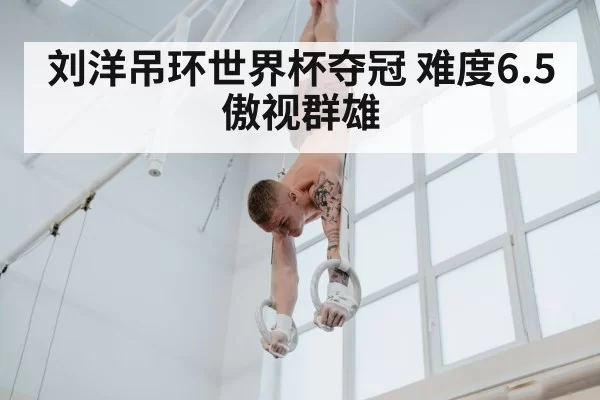 刘洋吊环世界杯夺冠 难度6.5傲视群雄